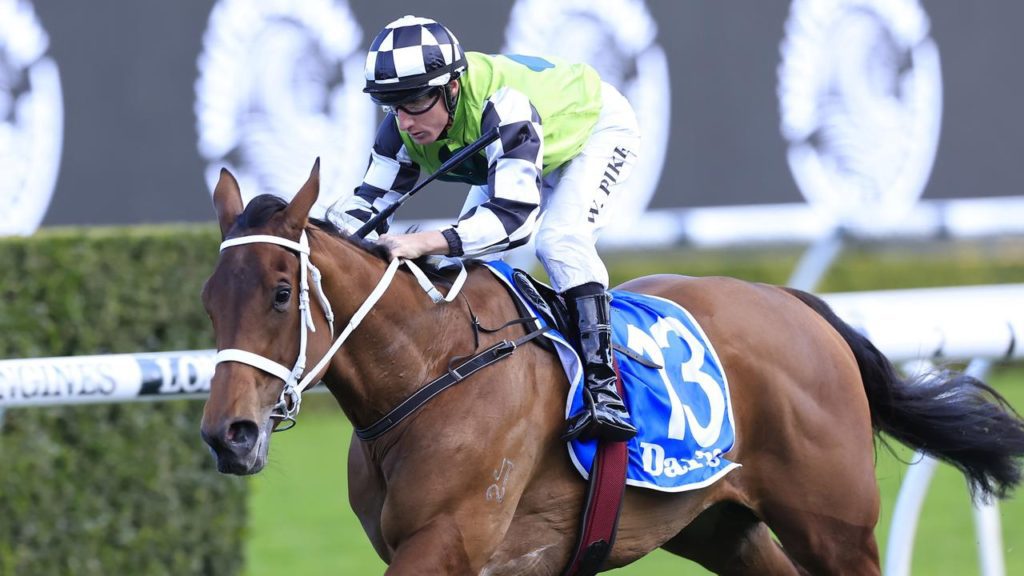 Coolmore Classic Early Preview
